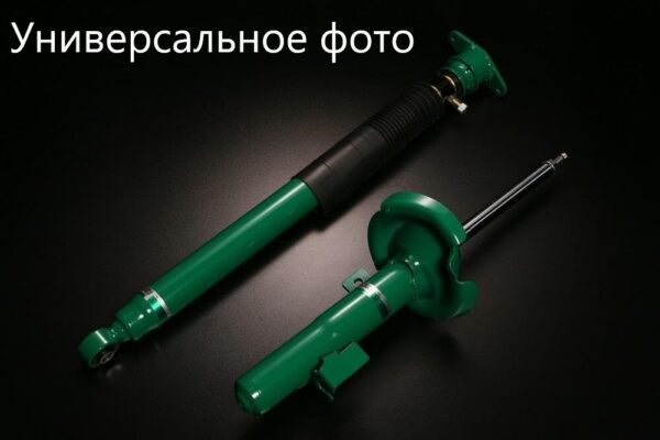 Усиленные амортизаторы TЕIN Еndurа Рrо Рlus для GAC GS8